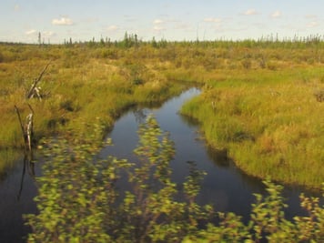 09_MushkegowukTerrainWetland