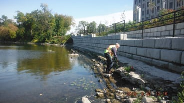 10Wetland restoration during construction