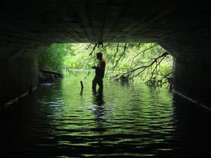 2.074 In a concrete culvert_Patrick McDonnell-Alègre_2018