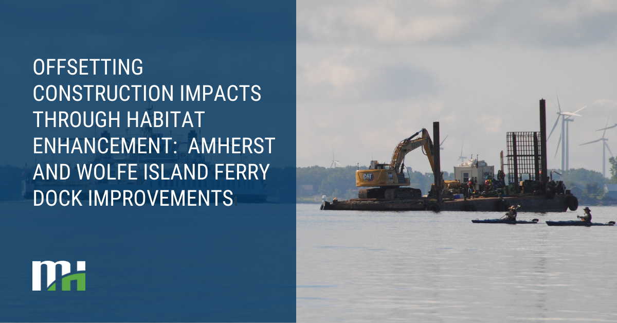 Offsetting Construction Impacts Through Habitat Enhancement: Amherst and Wolfe Island Ferry Dock Improvements